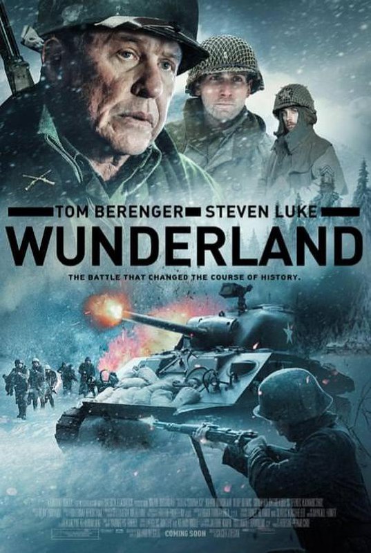 最后的狙击战 Wunderland (2018) 1080p 原盘Remux 中文字幕 已刮削