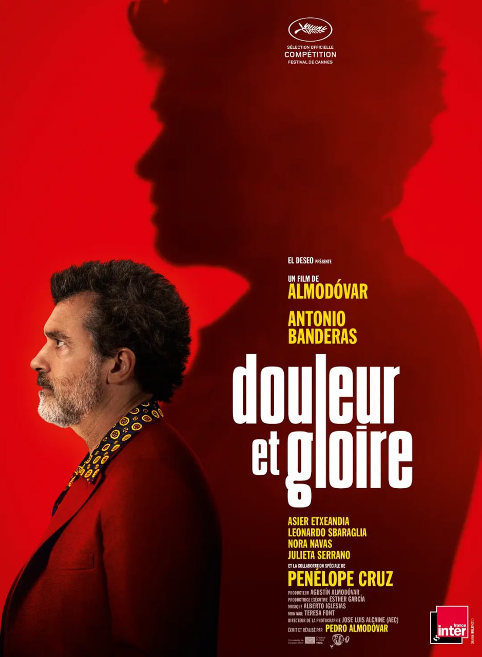 痛苦与荣耀 Dolor y gloria (2019)