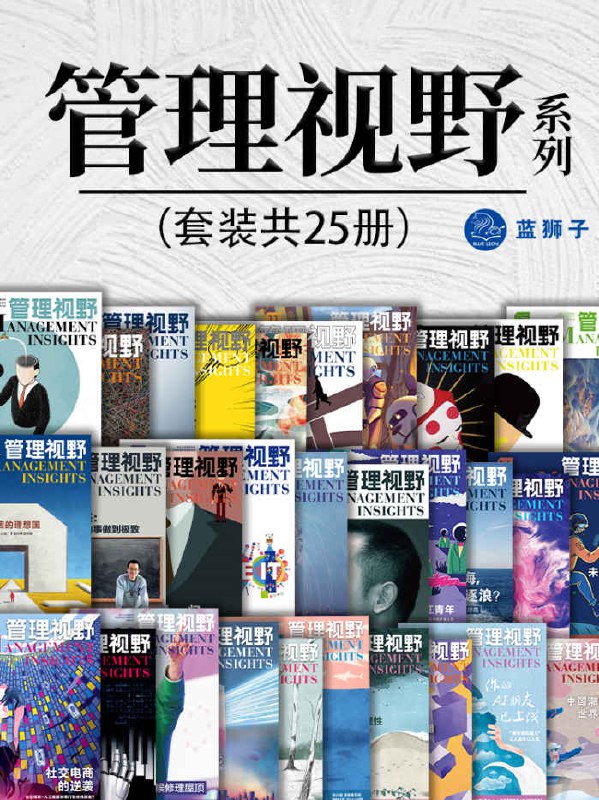 管理视野系列（套装共25册） [﻿套装合集] [pdf+全格式]