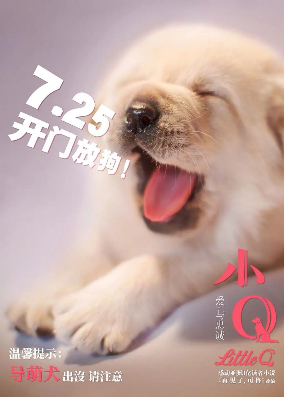 导盲犬小Q (2004)