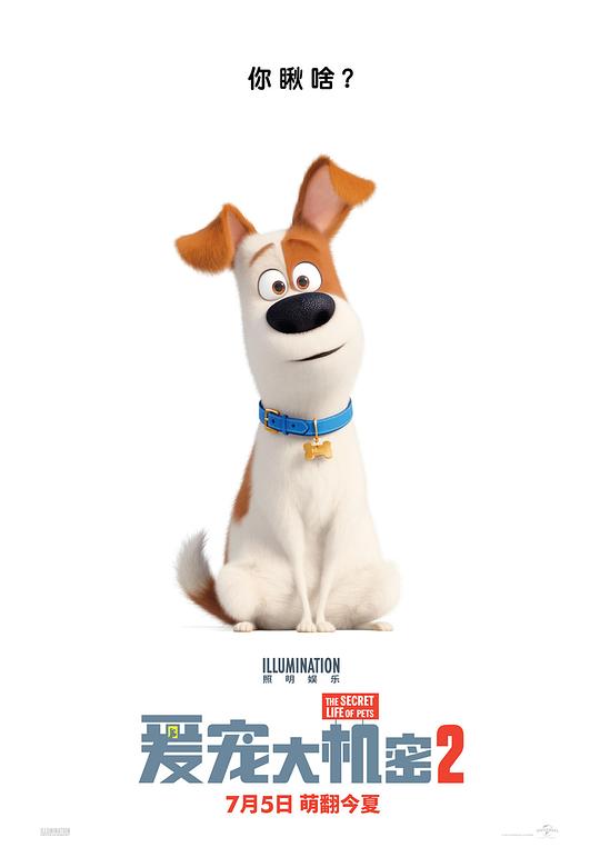 爱宠大机密2 The Secret Life of Pets 2 (2019) 4K/2160p 原盘Remux 中文字幕 已刮削