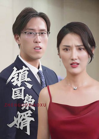 镇国枭婿(99集) [赘婿]