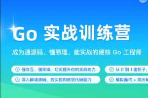 极客时间-Go 实战训练营1期
