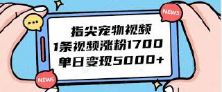 指尖宠物视频，1条视频涨粉1700，单日变现5000