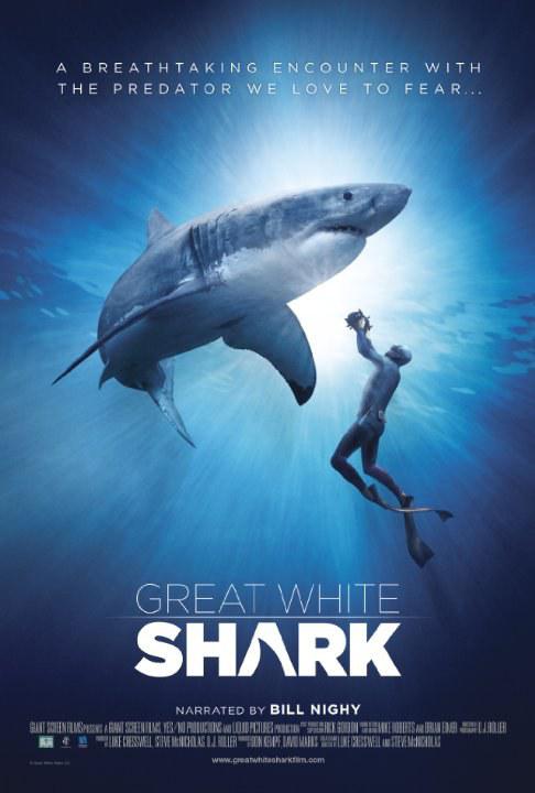 大白鲨 Great White Shark (2013) 4K/2160p 原盘Remux 中文字幕 已刮削