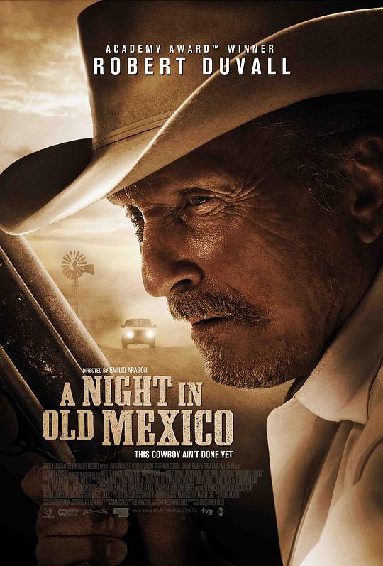 旧墨西哥一夜 A Night in Old Mexico (2013) 1080p 原盘Remux 中文字幕 已刮削