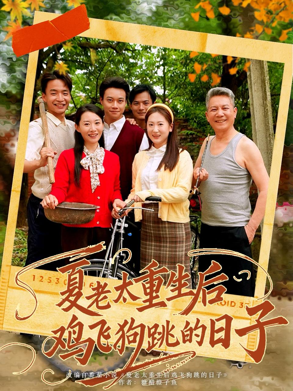 夏老太重生后鸡飞狗跳的日子（70集）  /最新 短剧