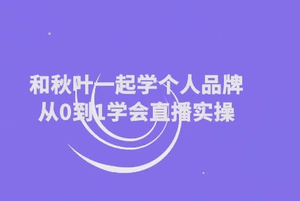 和秋叶一起学个人品牌从0到1学会直播实操