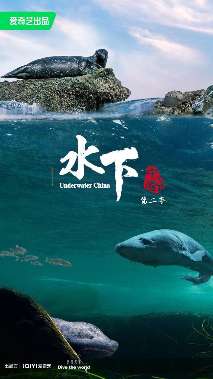 纪录片：水下中国 第二季 2024 [全6集]  4K [国语配音+中文字幕]
