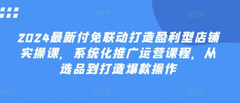 2024付免联动打造盈利型店铺实战课