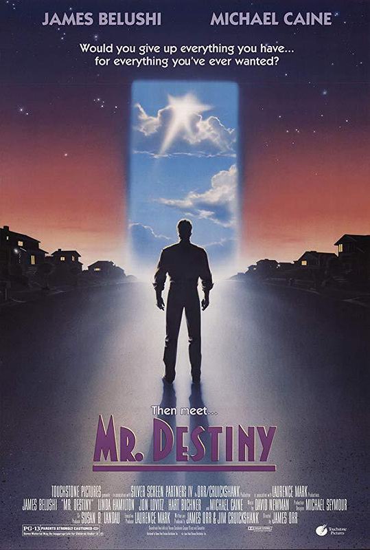 命运先生 Mr. Destiny (1990) 1080p 原盘Remux 已刮削
