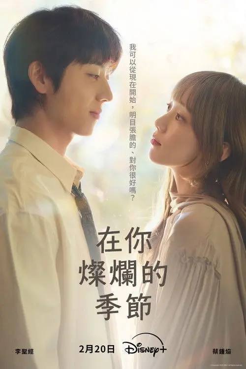在你灿烂的季节(2026)1080p S01E01 - E09