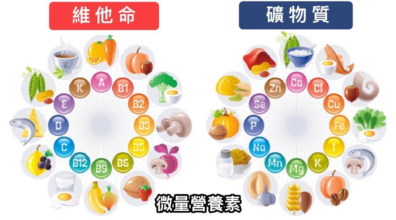 你的健康离不开微量营养素-微量元素食疗手册
