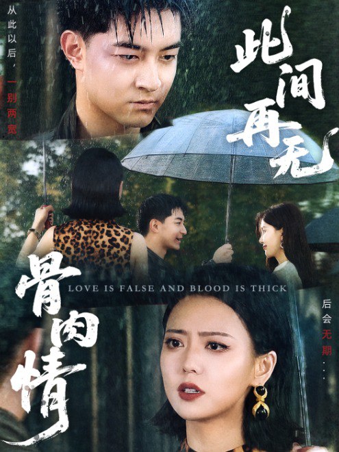 此间再无骨肉情(60集)