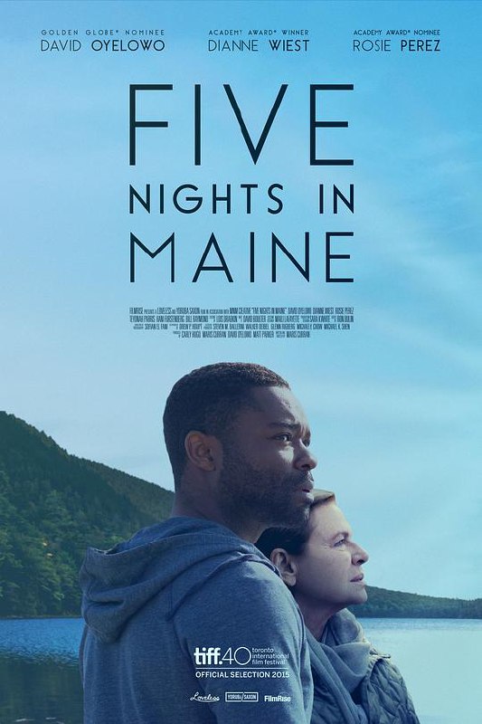 在缅因的五夜 Five Nights in Maine (2016) 1080p 原盘Remux 已刮削