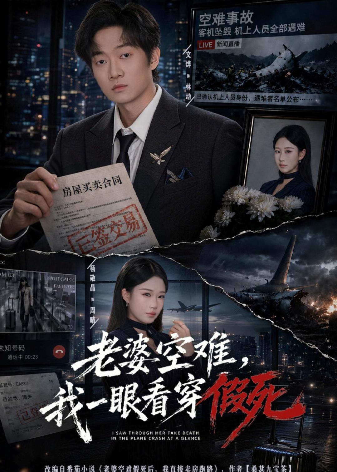 老婆空难我一眼看穿假死 (80集) 文烨&杨敬晶 | 短剧