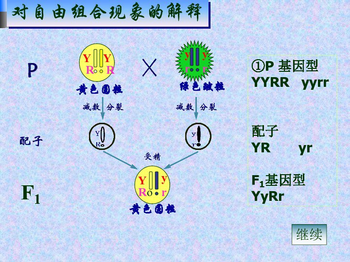 让大脑自由释放天赋的12条定律[epub]