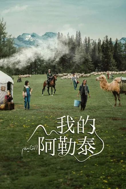 我的阿勒泰 2024✨纯净封装附电子书 马伊琍 / 周依然 / 于适