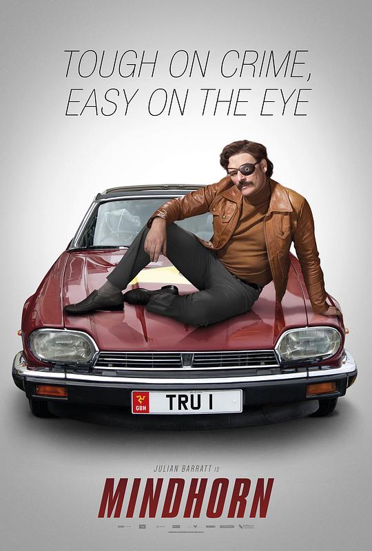 蛮好侦探 Mindhorn (2016) 1080p 原盘Remux 中文字幕 已刮削