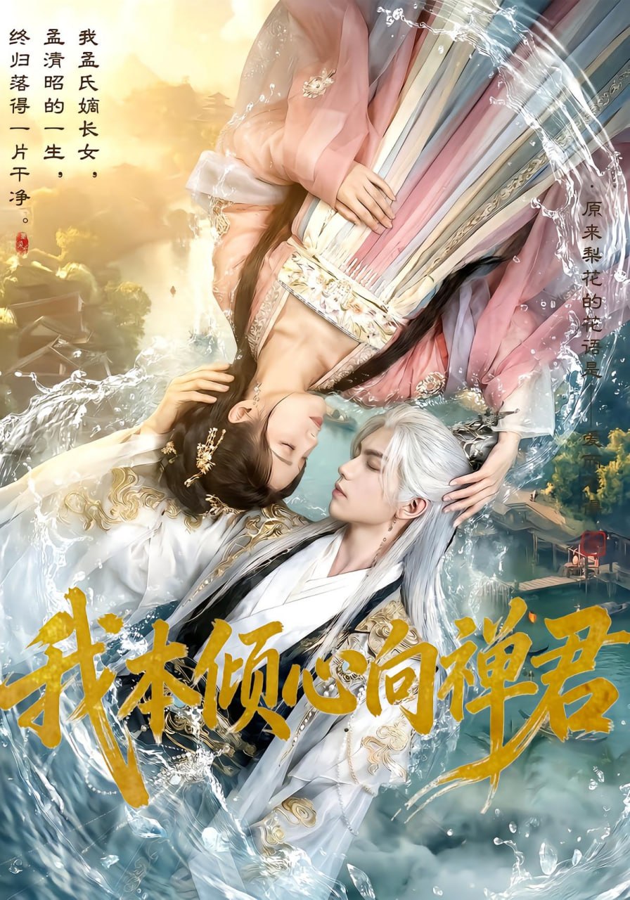 我本倾心向禅君（65 集）