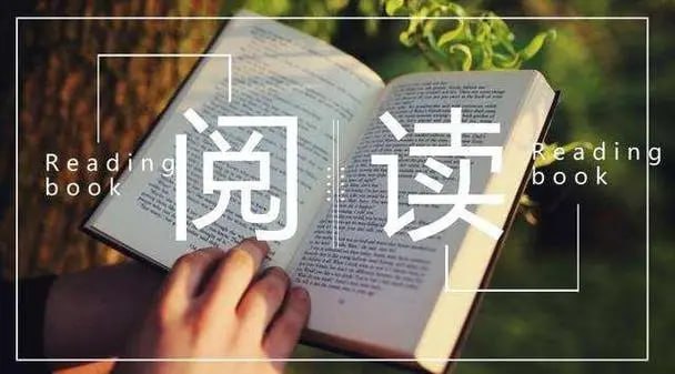 少年得到中小学分级进阶阅读