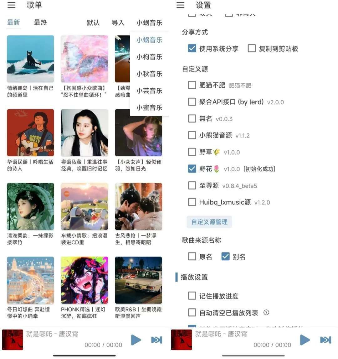 洛雪音乐Pro版 | 自带音源，Pro版就是好用