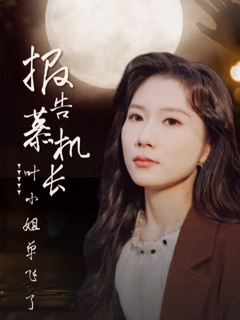 报告慕机长：叶小姐单飞了(70集)