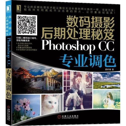 数码摄影后期处理秘笈  PHOTOSHOP CC专业调色