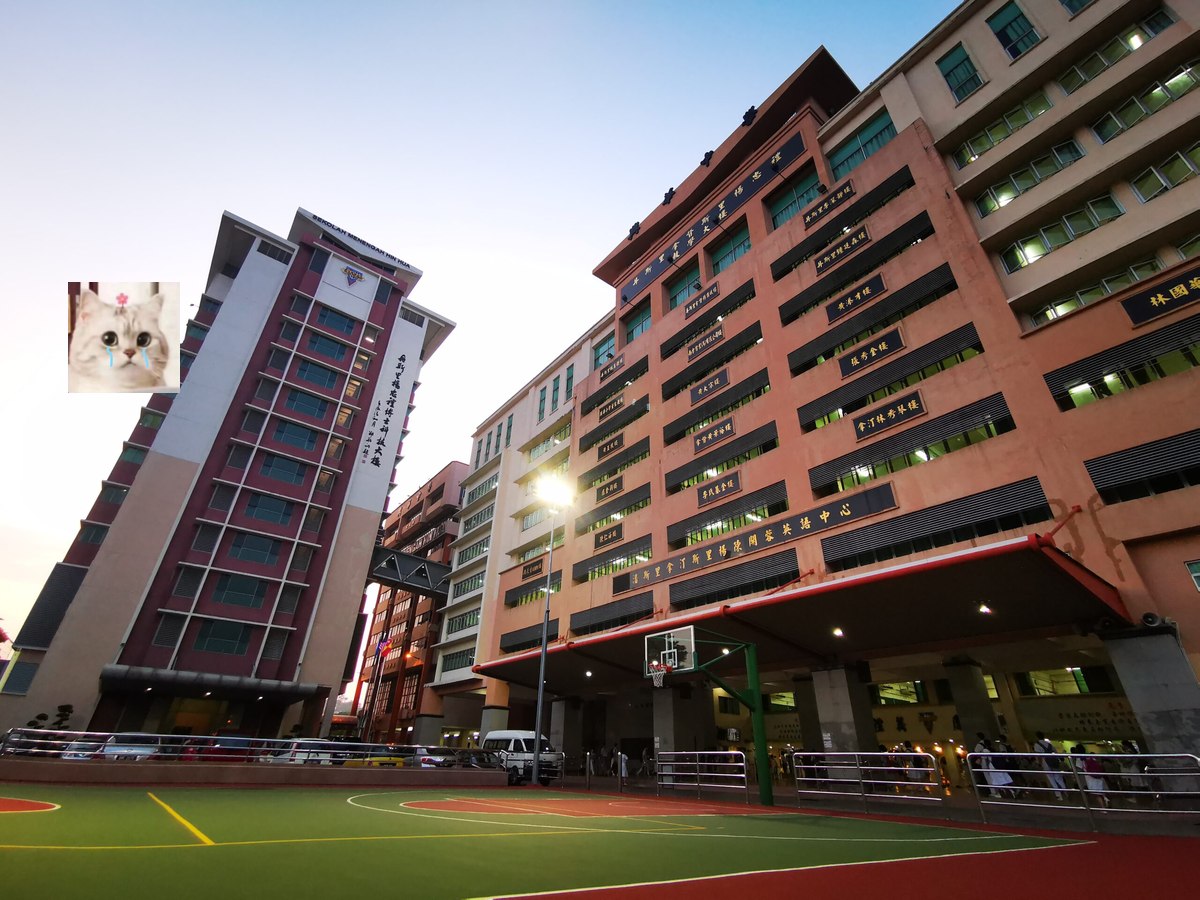 赵岳：乐理入门知识教学课程