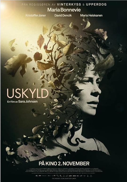 往事如烟 Uskyld (2012) 1080p 原盘Remux 已刮削
