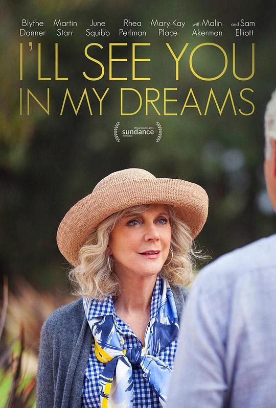 我们梦中见 I'll See You in My Dreams (2015) 1080p 原盘Remux 中文字幕 已刮削