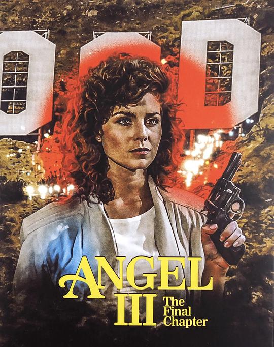 天使3：终章 Angel III: The Final Chapter (1988) 1080p 原盘Remux 中文字幕 已刮削