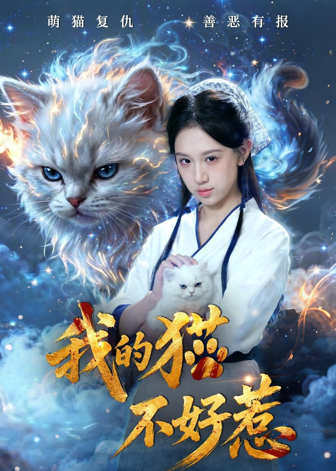 我的猫不好惹 (42集) 江来&陈鸿运 | 短剧