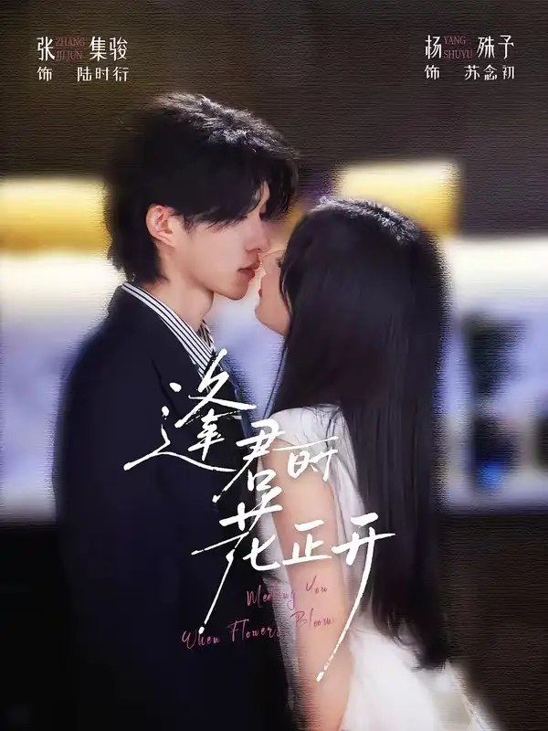 逢君时花正开（72集）张集骏＆杨殊予