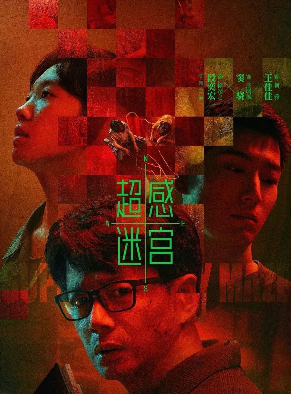 超感迷宫 (2025) 更至11集 [4K][悬疑/犯罪][段奕宏]