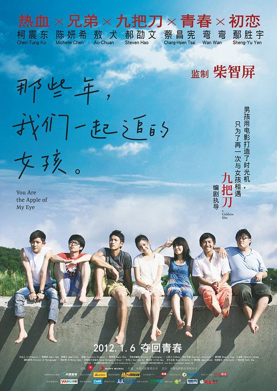 那些年，我们一起追的女孩 那些年，我們一起追的女孩 (2011) 1080p 原盘Remux 中文字幕 已刮削