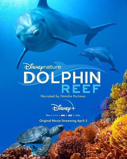 海豚礁 (2020) 4K HDR 中英外挂字幕