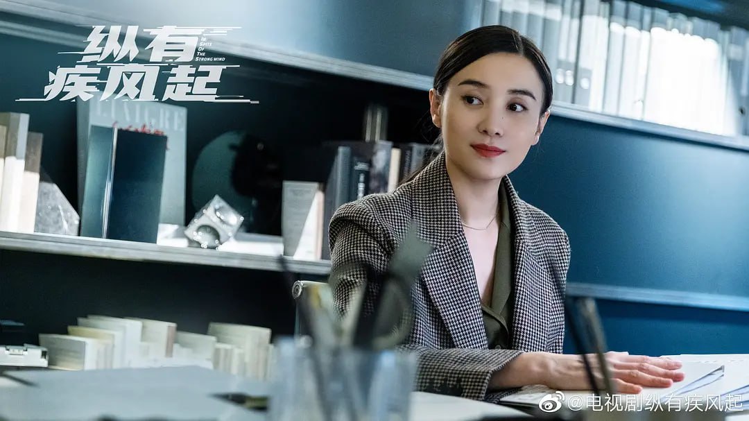 纵有疾风起 (2023)