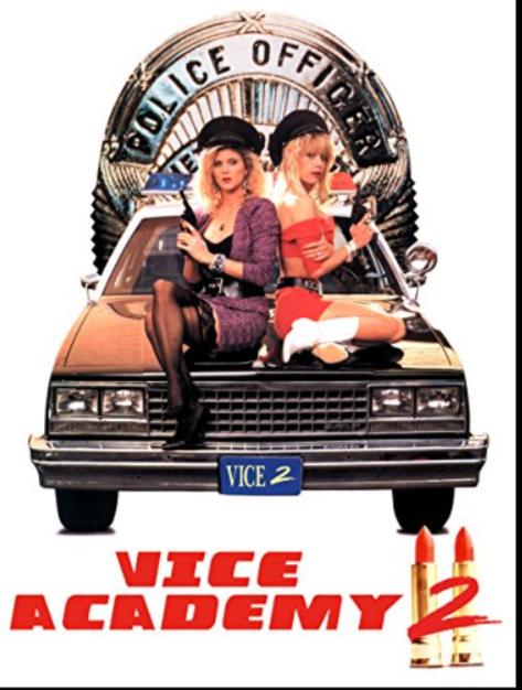 金发女警2 Vice Academy Part 2 (1990) 1080p 原盘Remux 已刮削