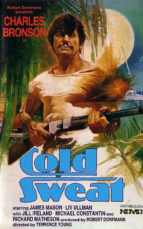 杀手群英会 De la part des copains (1970) 1080p 原盘Remux 中文字幕 已刮削
