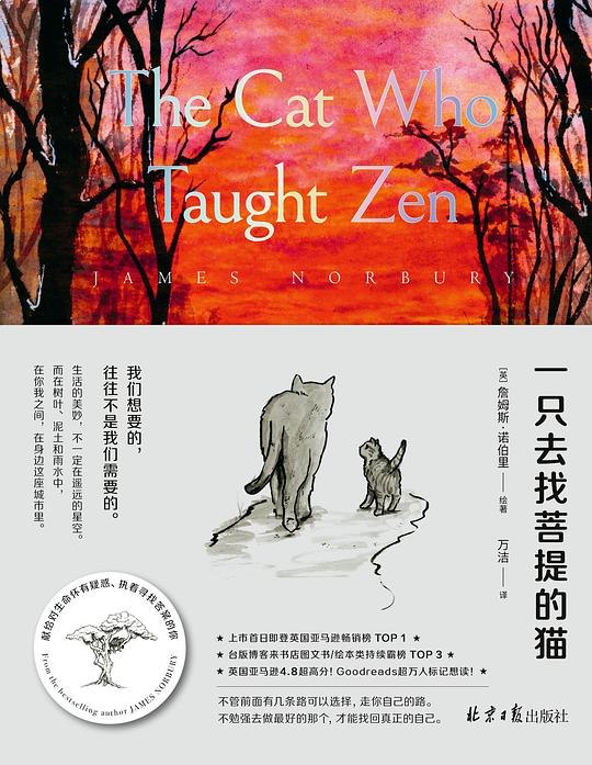 一只去找菩提的猫