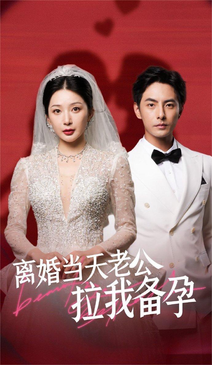 离婚当天老公拉我备孕李豪新剧 68集全