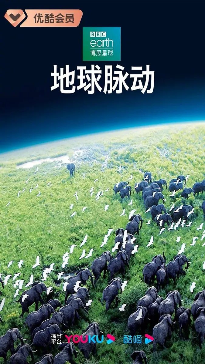 地球脉动 第一季 Planet Earth Season 1 (2006)