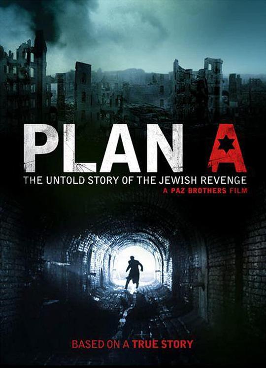 A计划 Plan A (2021) 1080p 原盘Remux 中文字幕 已刮削