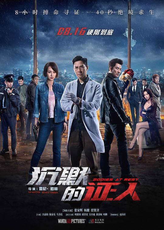 沉默的证人 (2019) 1080p 原盘Remux 中文字幕 已刮削