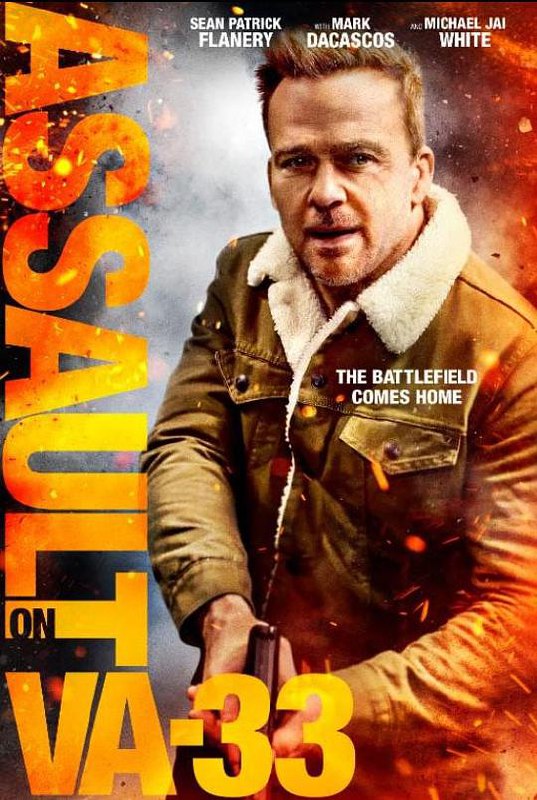 袭击33号医院 Assault on VA-33 (2021) 1080p 原盘Remux 已刮削