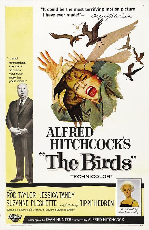 群鸟 The Birds (1963) 4K/2160p 原盘Remux 中文字幕 已刮削