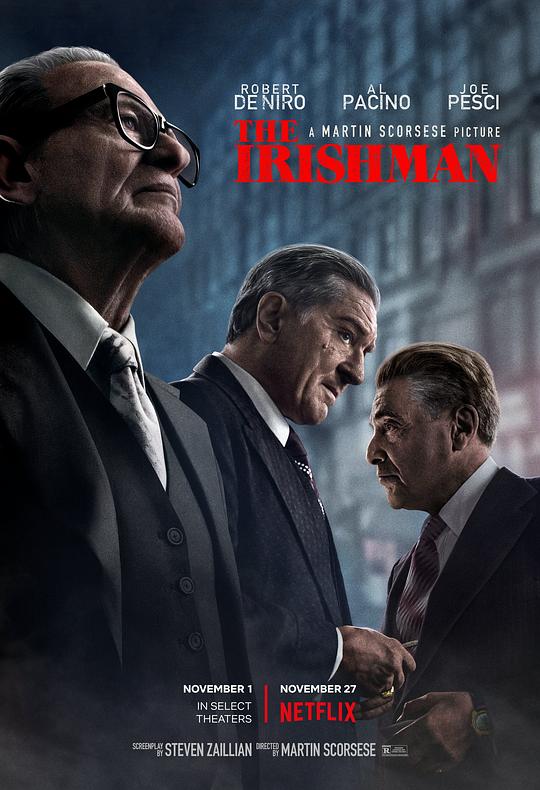 爱尔兰人 The Irishman (2019) 1080p 原盘Remux 中文字幕 已刮削