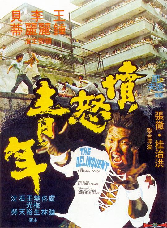愤怒青年 憤怒青年 (1973) 1080p 原盘Remux 中文字幕 已刮削