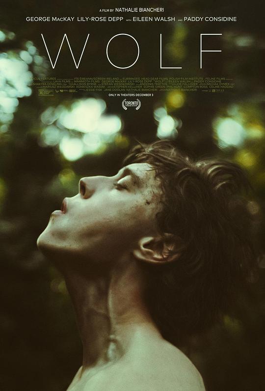 狼 Wolf (2021) 1080p 原盘Remux 中文字幕 已刮削